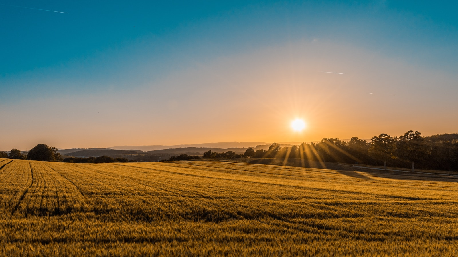 Illustrative landscape image